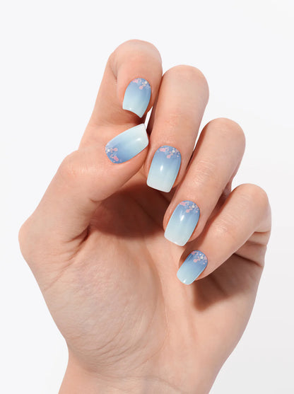Glacier