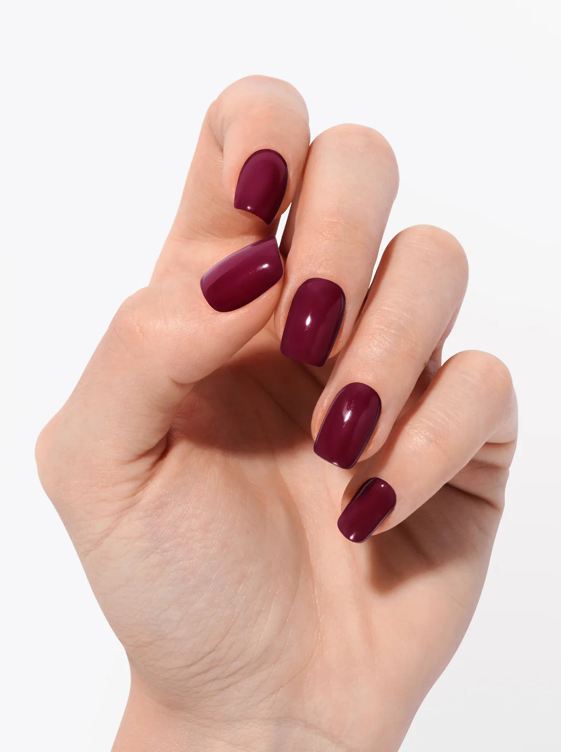 Merlot